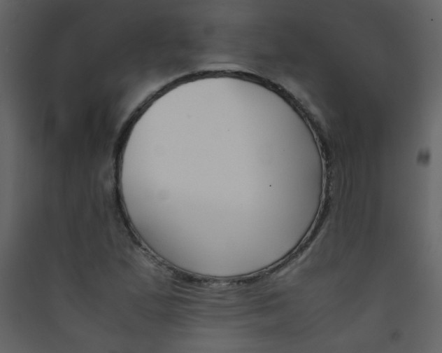 X0000089431167200707131838