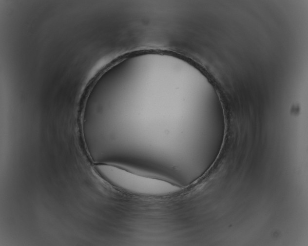 X0000089431168200707131838