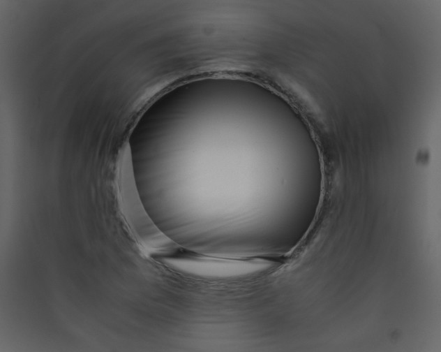 X0000089431169200707131838