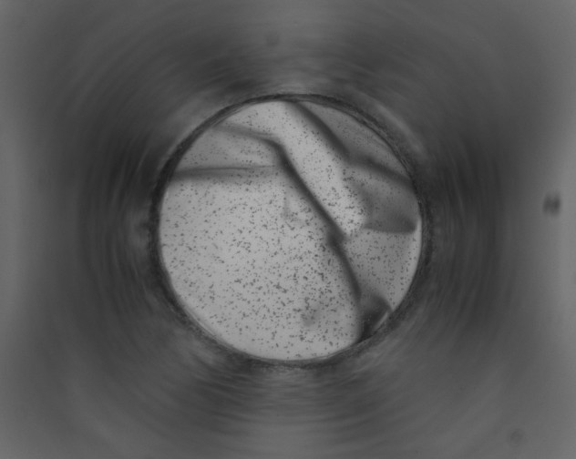 X0000089431170200707131838