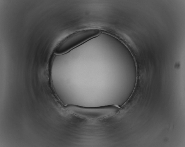 X0000089431172200707131838