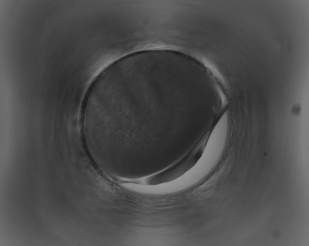 X0000089431173200707131838