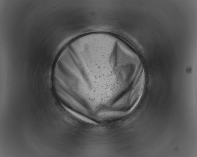 X0000089431174200707131838