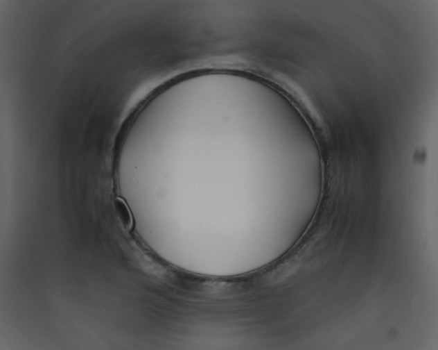 X0000089431176200707131838