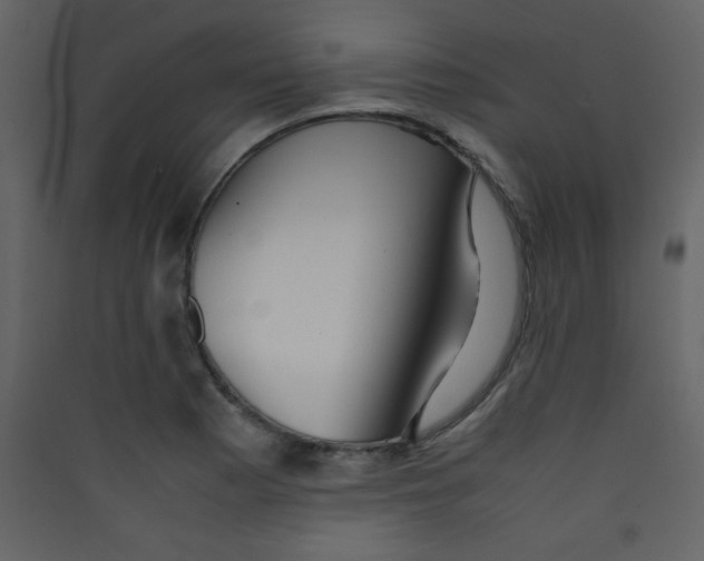 X0000089431177200707131838