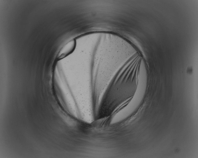 X0000089431179200707131838