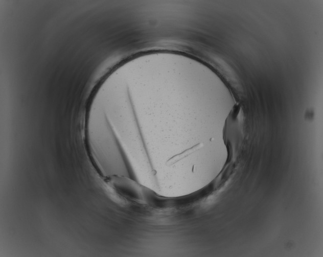 X0000089431180200707131838