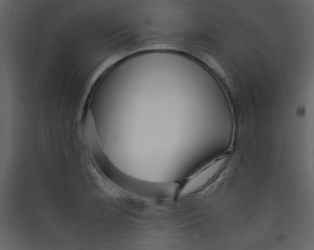 X0000089431181200707131838