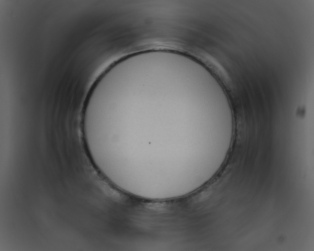 X0000089431182200707131838