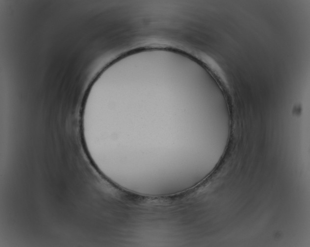 X0000089431183200707131838