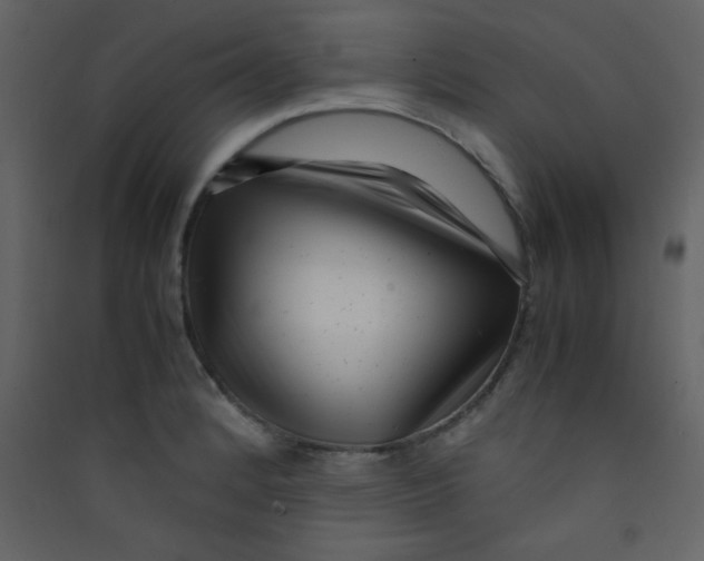 X0000089431184200707131838