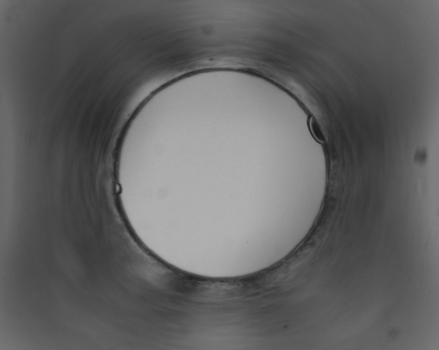 X0000089431187200707131838