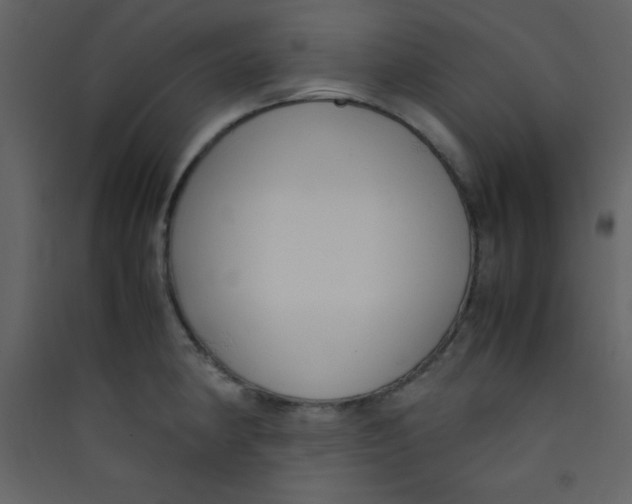 X0000089431190200707131838