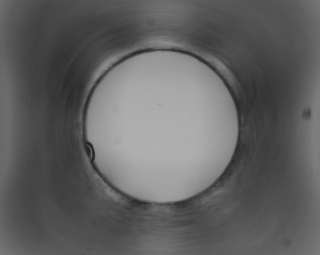 X0000089431191200707131838