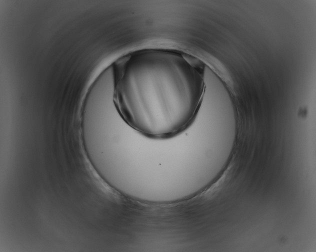 X0000089431192200707131838