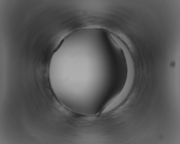 X0000089431193200707131837