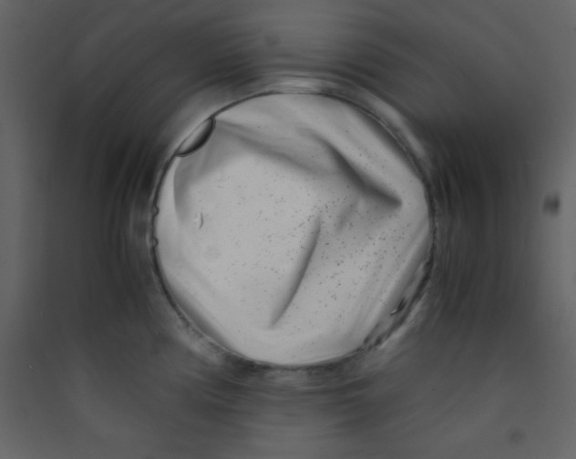 X0000089431194200707131837