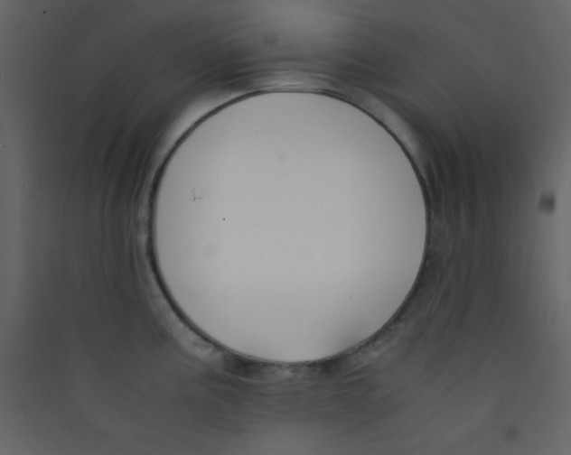 X0000089431195200707131837