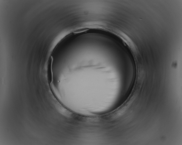 X0000089431196200707131837