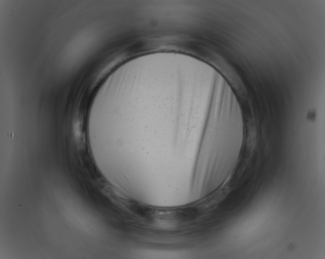 X0000089431198200707131837