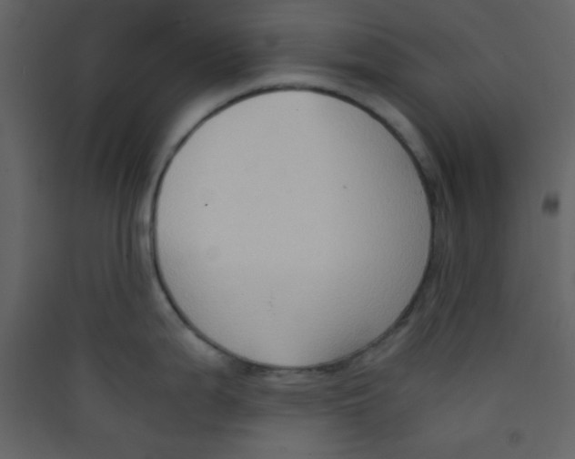 X0000089431199200707131837