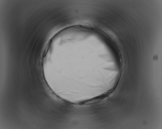 X0000089431200200707131837