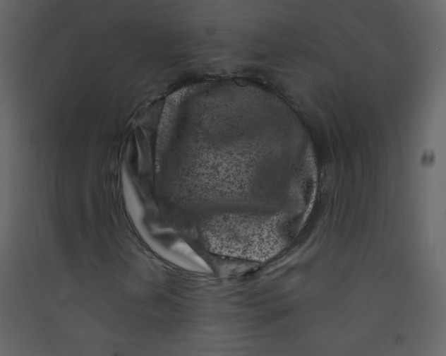 X0000089431202200707131837