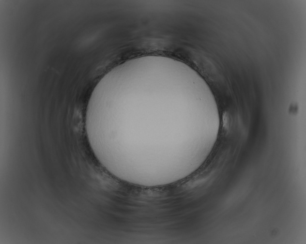 X0000089431203200707131837