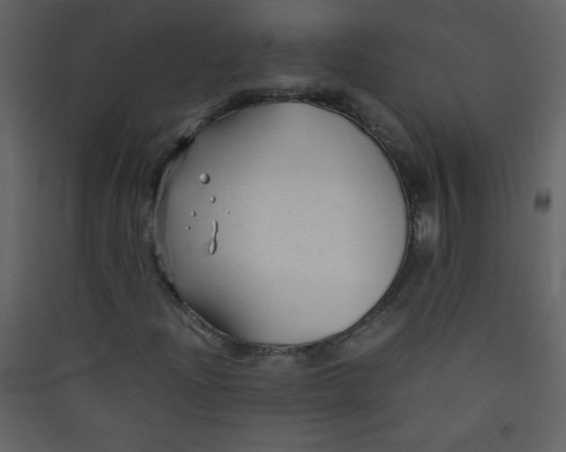 X0000089431204200707131837