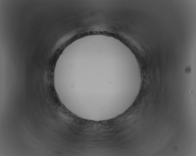 X0000089431207200707131837