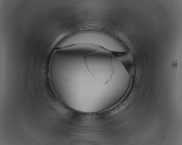 X0000089431210200707131837