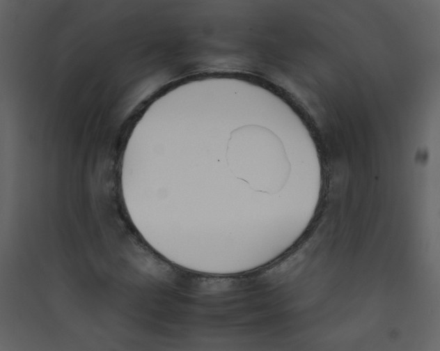 X0000089431211200707131837