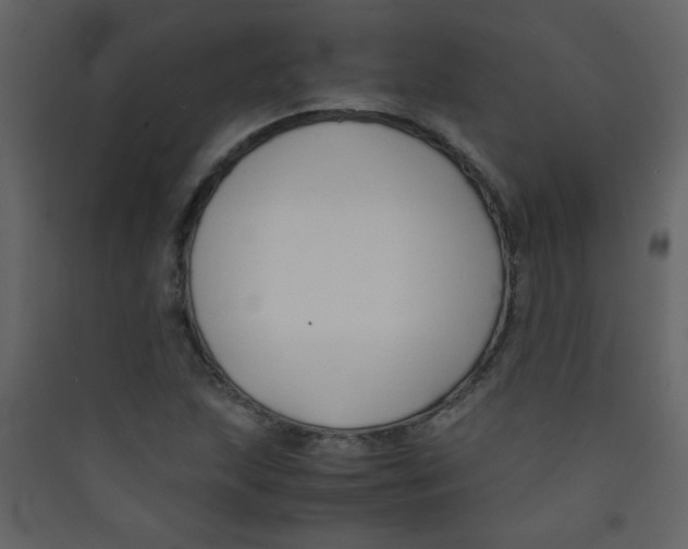 X0000089431215200707131837