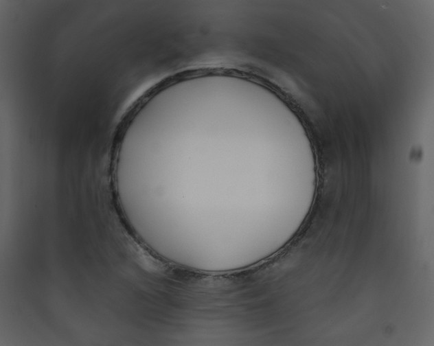 X0000089431216200707131837