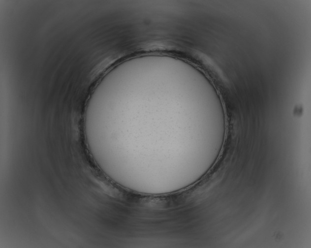 X0000089431217200707131837