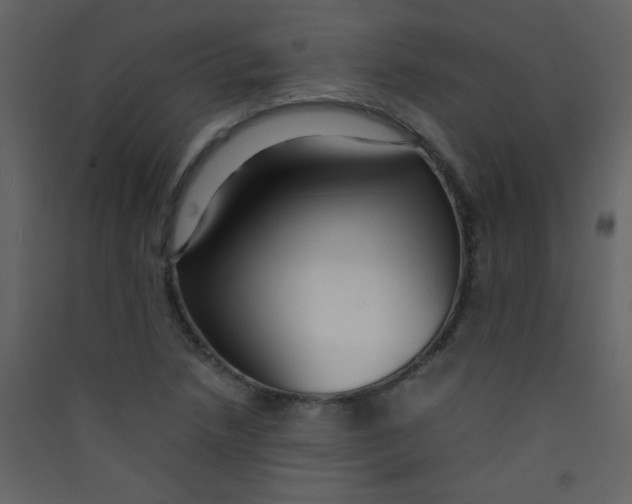 X0000089431218200707131837