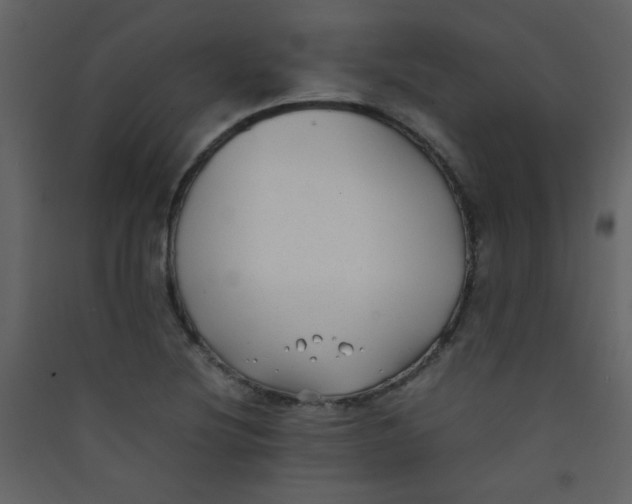 X0000089431220200707131837