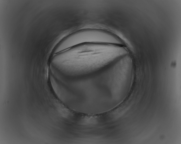 X0000089431221200707131837