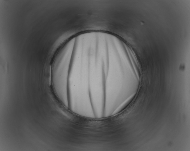 X0000089431223200707131837