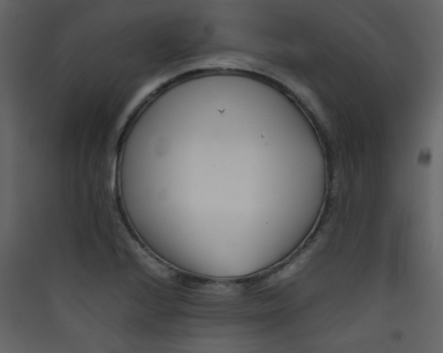 X0000089431224200707131837