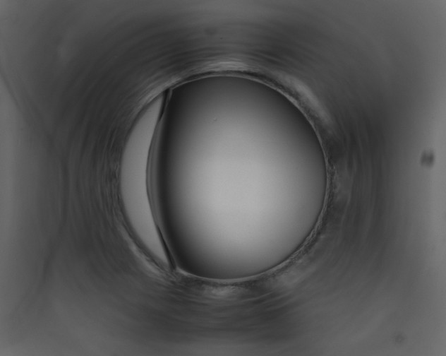 X0000089431225200707131837