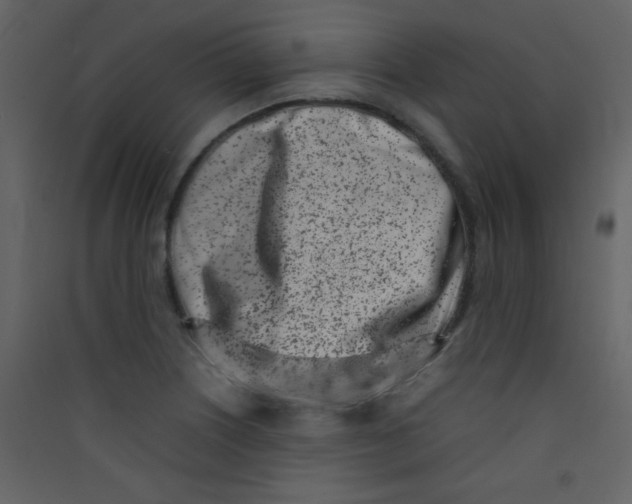 X0000089431226200707131837