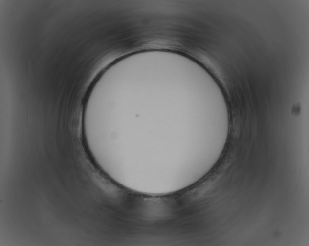 X0000089431227200707131837