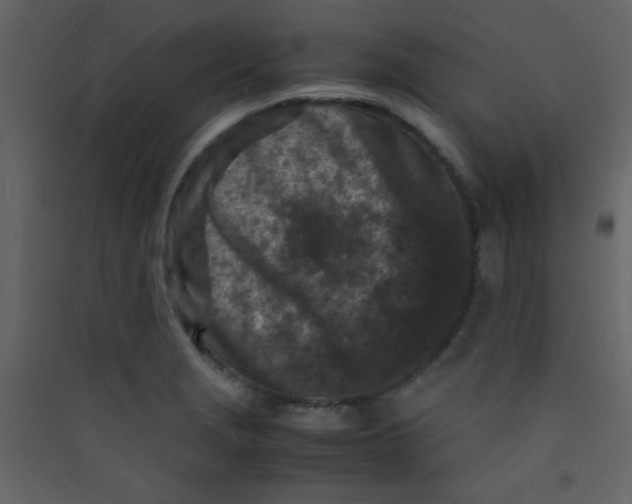 X0000089431229200707131837