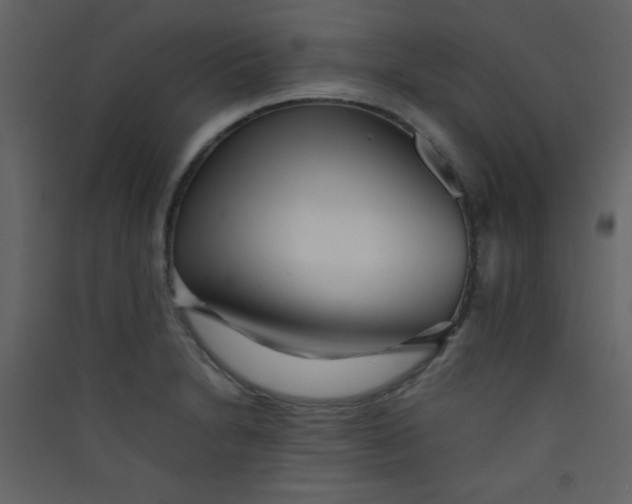 X0000089431230200707131837