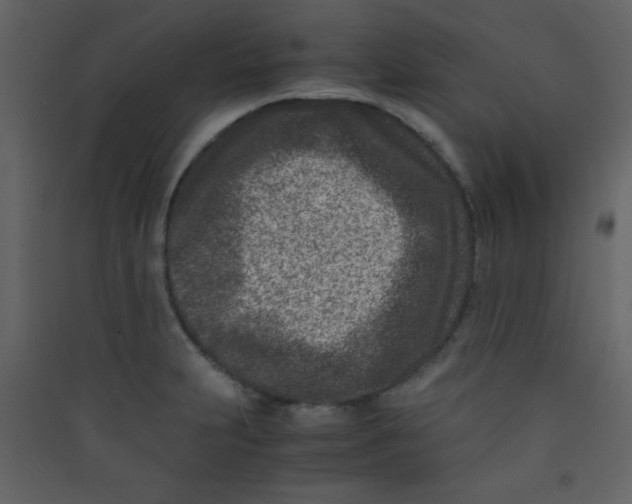 X0000089431231200707131837