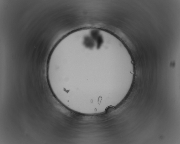 X0000089431232200707131837