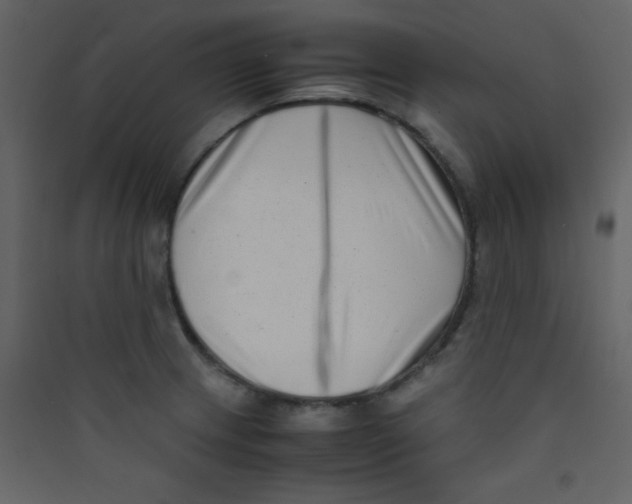 X0000089431233200707131837