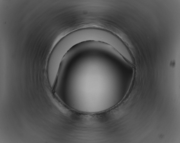 X0000089431234200707131837