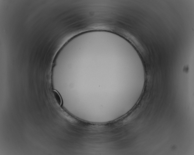 X0000089431236200707131837